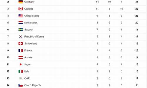 平昌冬奥会奖牌排名_平昌冬奥会奖牌榜排名第一的国家