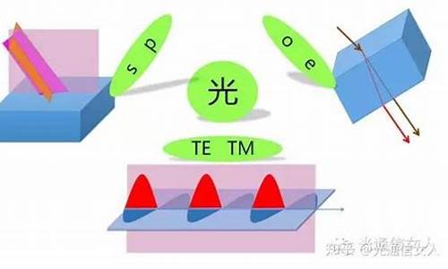 o光e光和s光p光的区别_o光e光异同点