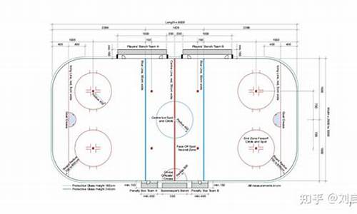 冬奥会冰球比赛规则-冬季奥运会的冰球规则