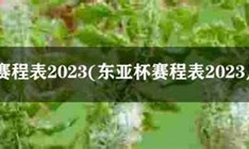 2023东亚杯赛程表-2021东亚杯赛程时间表